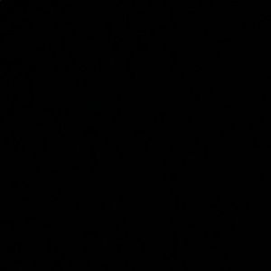 Meet your Posher, Tae